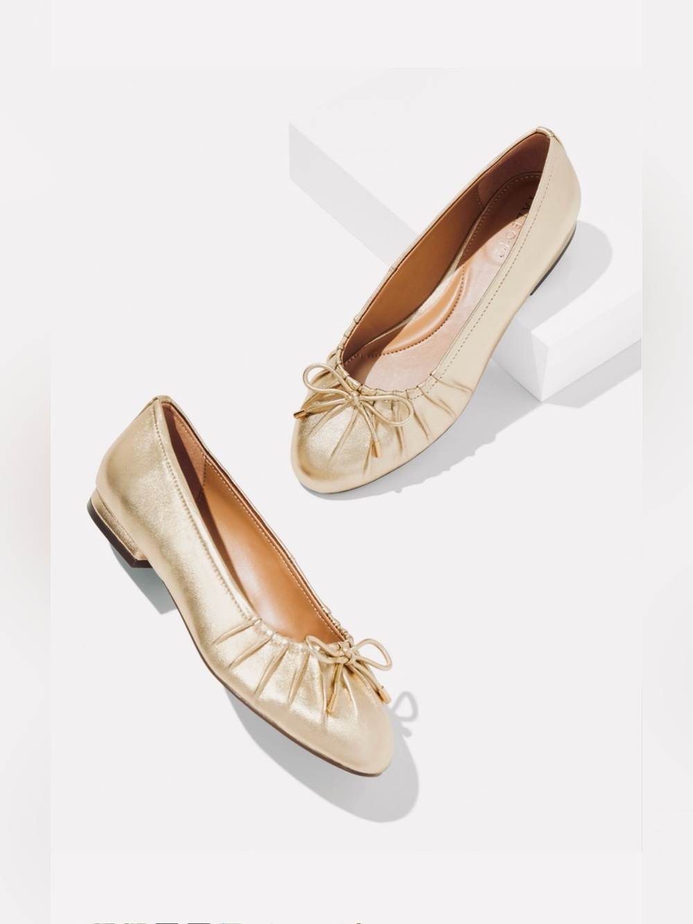 🛍️NWT Talbots Pleated Metallic Ballet Flats